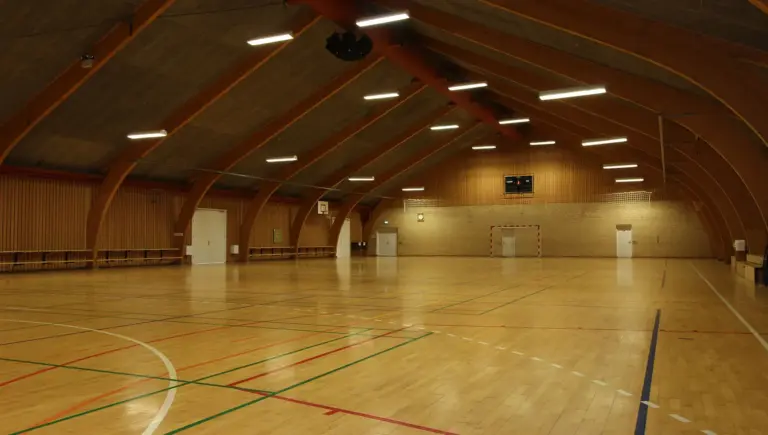 AU_billede-med-grafik-i-baggrund_håndbold