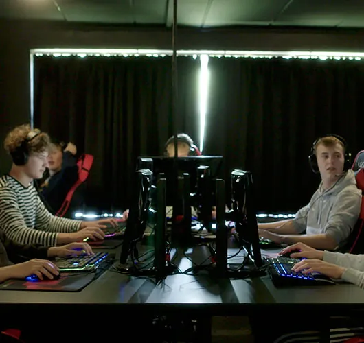 AU_forside-linjefag_esport