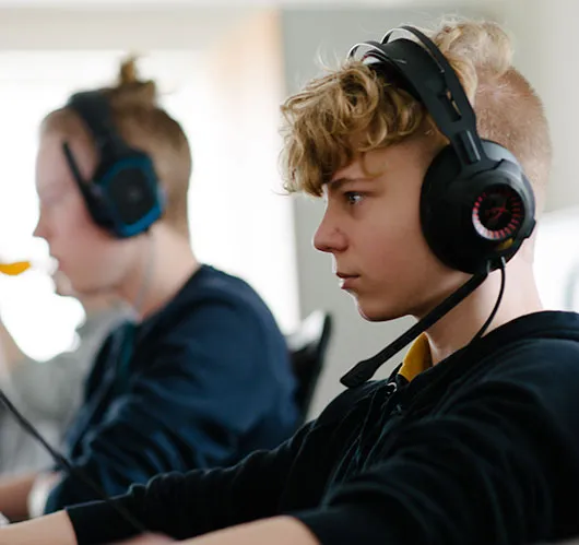 linjefag-esport